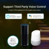Support third party voice control floodlight