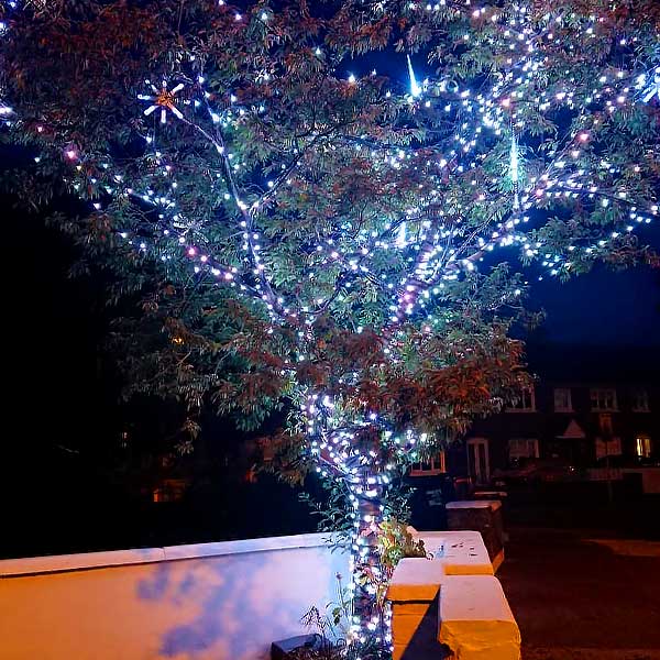 LED Christmas Tree Lights Ice White