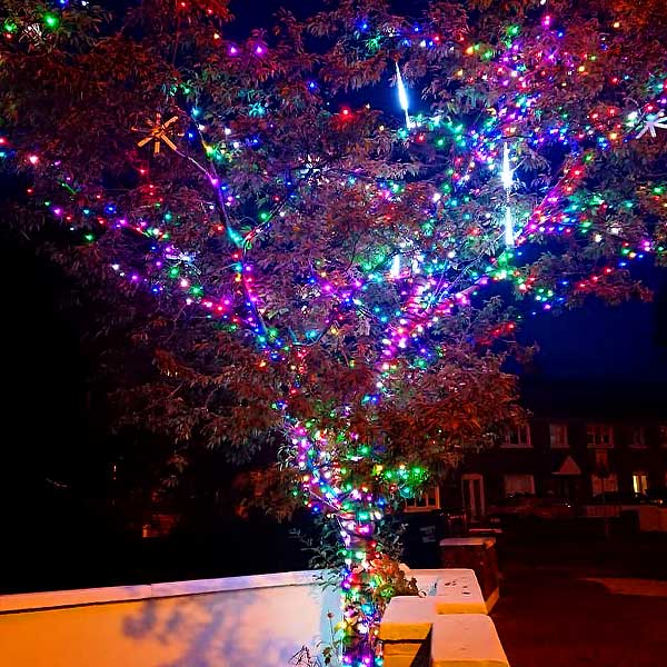 LED Christmas Tree Lights Multi Colour