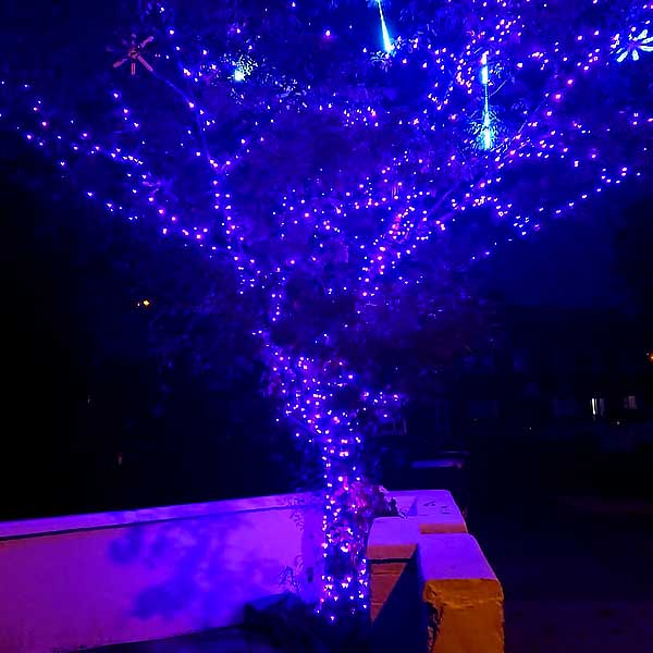 Led Christmas tree lights pink