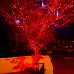 LED Christmas tree lights red