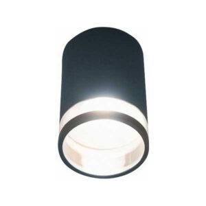 Clear ring outdoor ceiling light | Outdoor lights