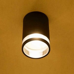 Clear Ring Outdoor Ceiling Light | Outdoor Lights