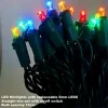 Indoor LED Christmas Lights Multicolour