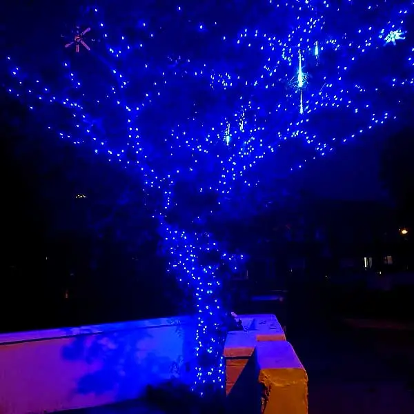 Outdoor Tree Lights Blue