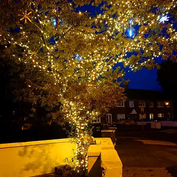 Outdoor Tree Lights Warm White