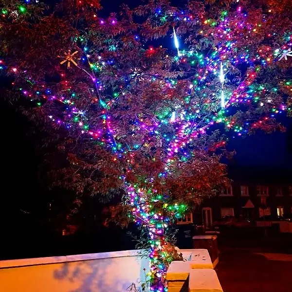 Outdoor Tree Lights Multi Colour