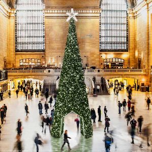 3D Walkthrough Christmas Tree