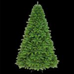 Colorado Spruce 7ft Christmas Tree