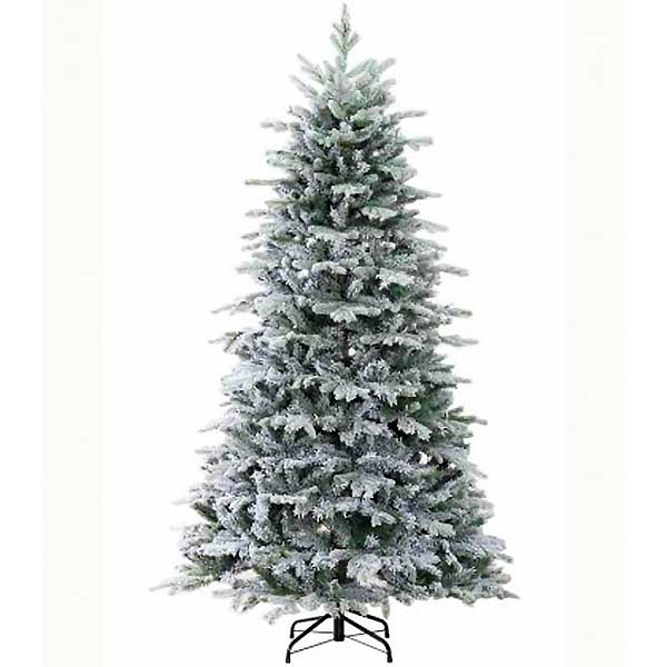 Englewood Fir 75ft Christmas Tree