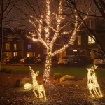 Low voltage white cable warm white Christmas lights