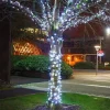 Ice White Outdoor Christmas Tree Lights