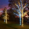 Low Voltage Outdoor Christmas Lights