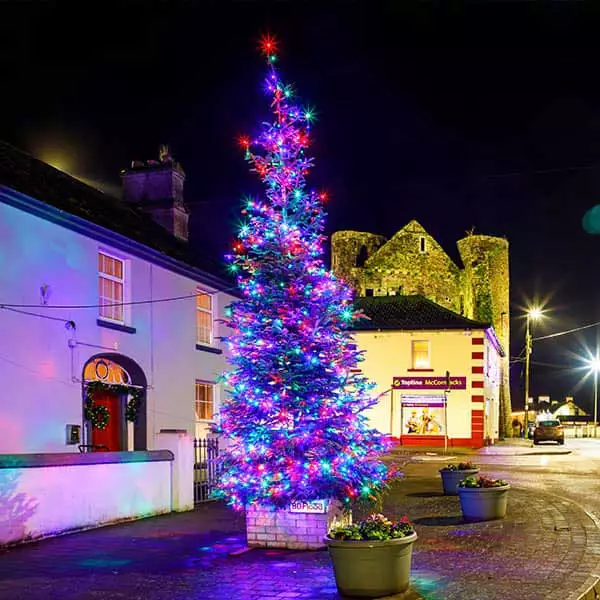 Multi Colour LED Outdoor Christmas Tree Lights