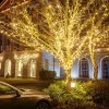 Warm White Outdoor Christmas Tree Lights