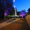 Outdoor connectable festoon lights harness 10mtr for garden or Christmas decoration