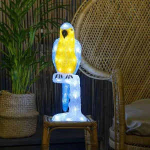 LED Acrylic Parrot Outdoor Decoration