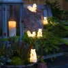 LED Acrylic Squirrels Outdoor Decor