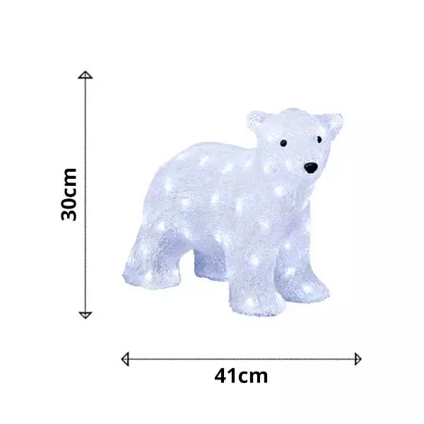 Measurements polar bear