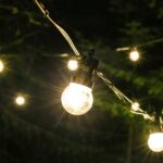 20 LED Clear White Party Lights | Festoon Lights | Lighting Shops Dublin
