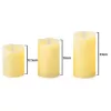 3 LED Candles With Real Flame Effect