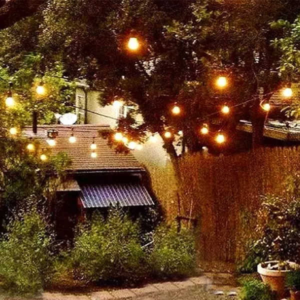 Outdoor Festoon Lights Harness 10 Metres