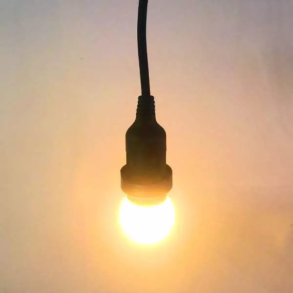 Outdoor Festoon Lights Drop Harness 10 Metres
