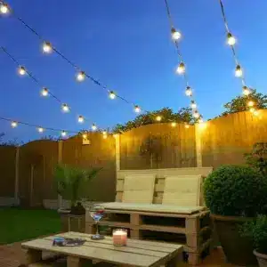 20 LED clear bulb festoon lights for indoor and outdoor use