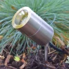Stainless Steel 12V Garden Spike Light
