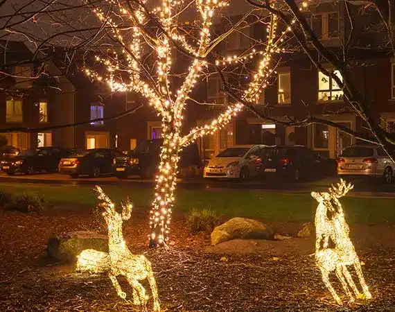 Outdoor Christmas lights for Ireland's homes and business