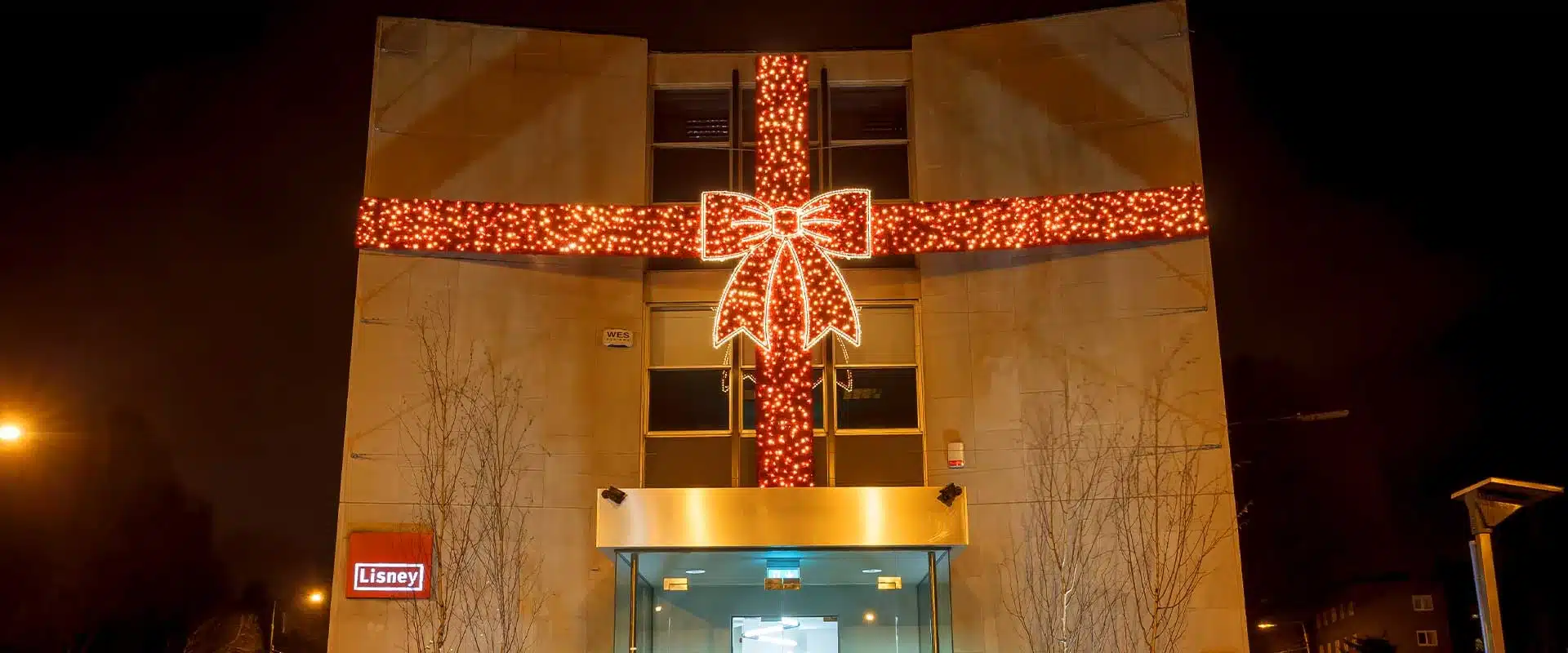 Commercial Christmas 2D Decor Features