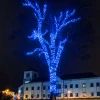 Connectable Outdoor Christmas Lights Blue