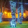 Low Voltage Christmas Tree Lights Ice White With Ice White Flash