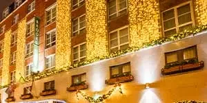 Commercial Christmas curtain lights led