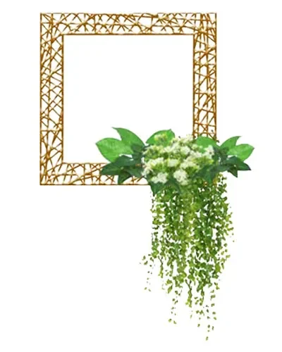 square floral decoration with plants